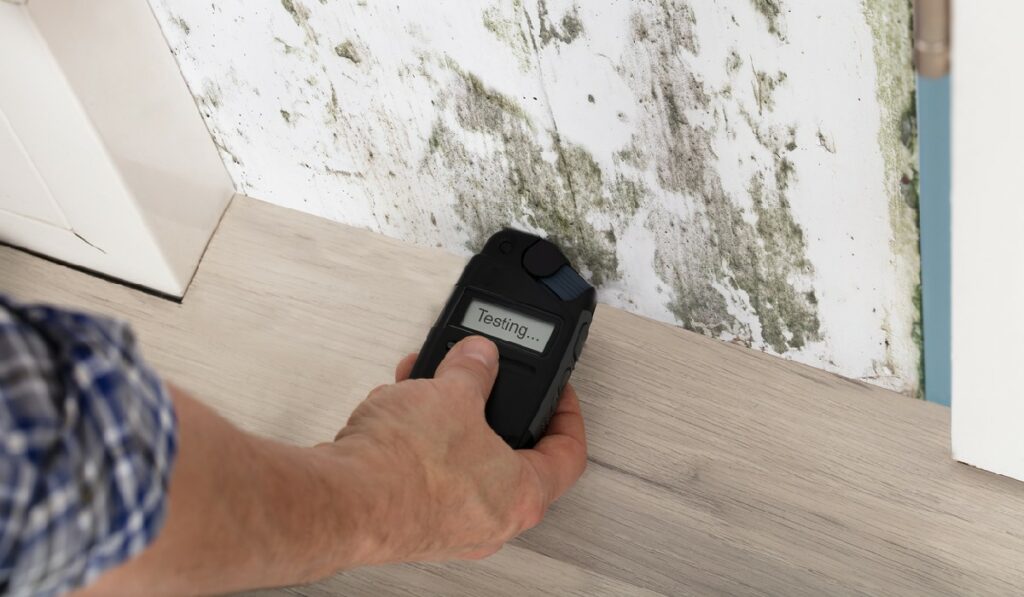 Wood Moisture Testing Methods